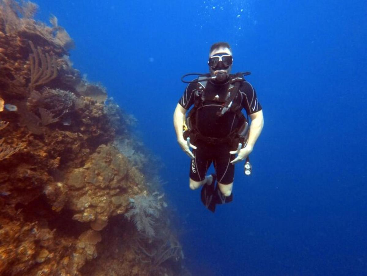 Hotel And Dive Center Roatan Yacht Club French Harbour Ngoại thất bức ảnh