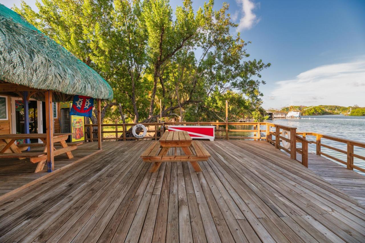 Hotel And Dive Center Roatan Yacht Club French Harbour Ngoại thất bức ảnh