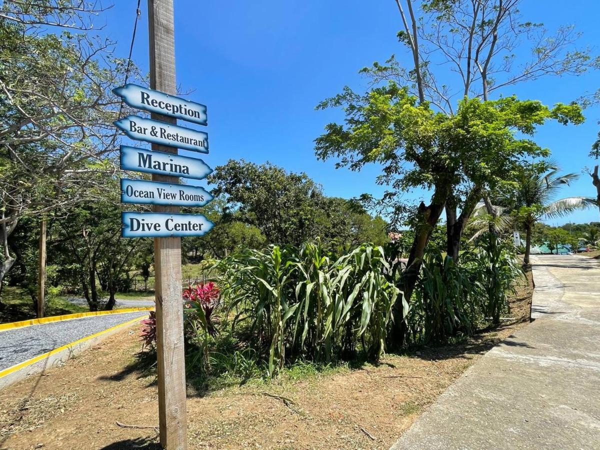 Hotel And Dive Center Roatan Yacht Club French Harbour Ngoại thất bức ảnh
